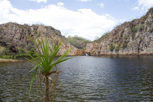 Australia 2014 Edith Falls